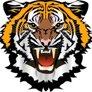 MHS Athletic Hall Of Fame