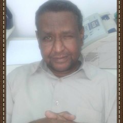 Mahmoud Ismail