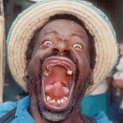 Funny daily videos