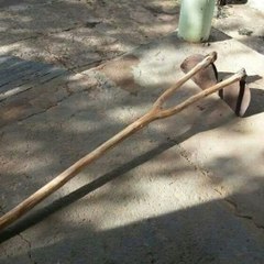 Vídeos curiosos