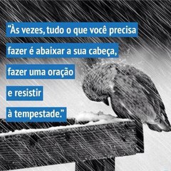 ccb A Paz Deus