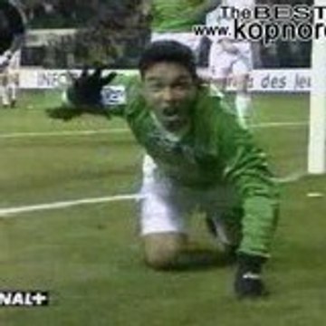 allezlesverts42