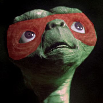 TurtleHands