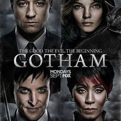 Gotham ~ FOX Networks HD
