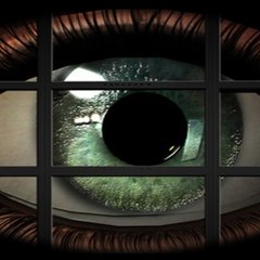 Tvcuriosity2002