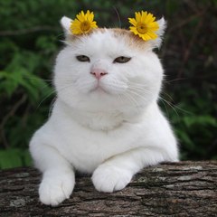 Kend Nam