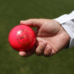 Freecricket000018