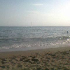 Caza y pesca.