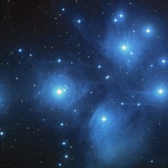7 Blue Stars