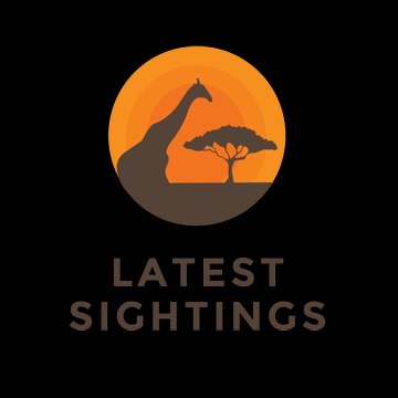 Latest Sightings