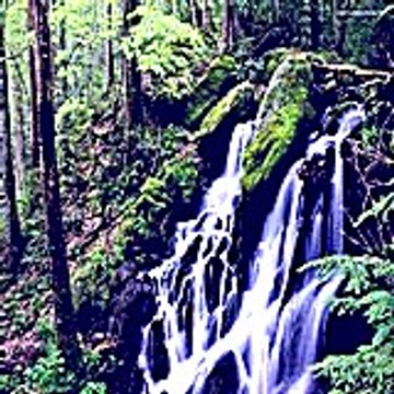 Hakisapa