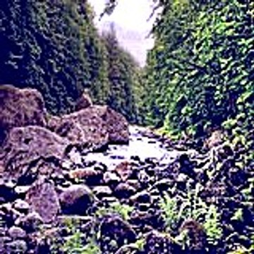 Boyofuraj