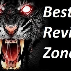 bestreviewszone.com