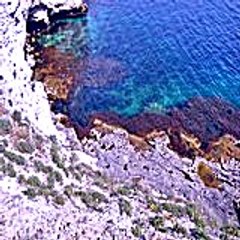 Vahave