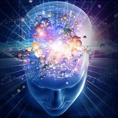 The Eight Sense