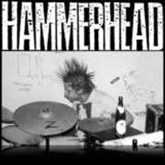 hammer-head