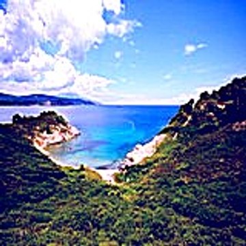 Misimo