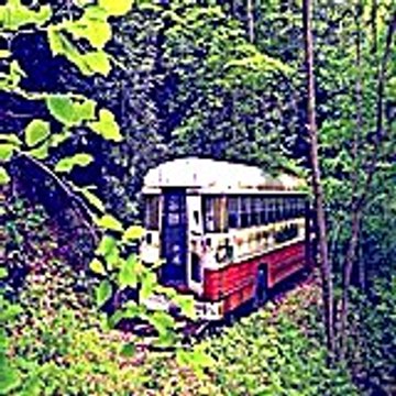 Bikuvef