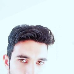 Abdul Majid