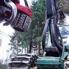 Harvester Forwarder & More