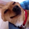 Epic Laughs