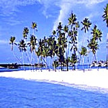 Ninagufiga