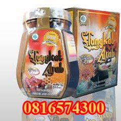 Agen Tongkat Arab Rejang Lebong