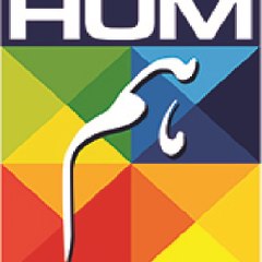 HAM TV