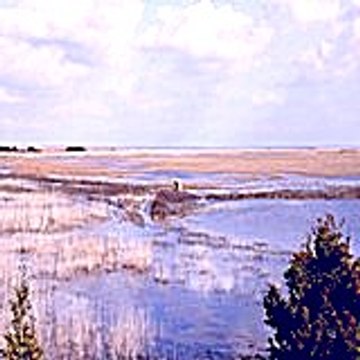 Balolodo