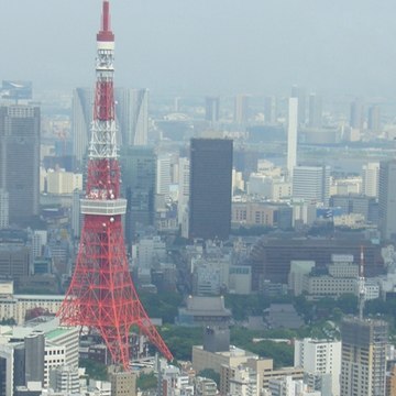 World Social Report (From Japan to the world)