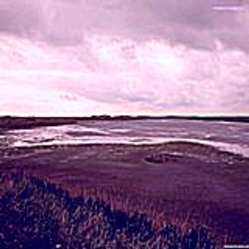 Winikag
