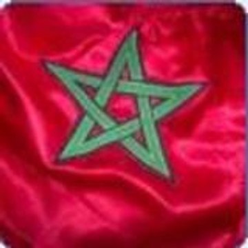 arifinaute