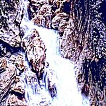 Vegabovali