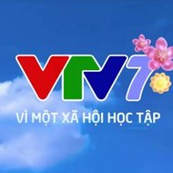 VTV7 HD