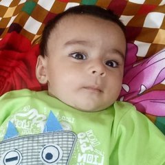 HD Videos