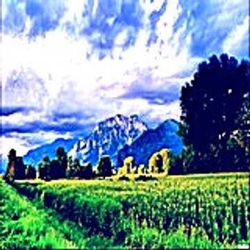 Latare