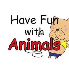 Have Fun With Animals