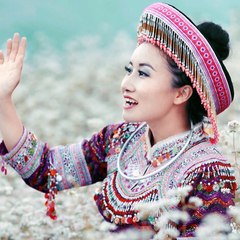 Nkauj Hmoob Tojsiab