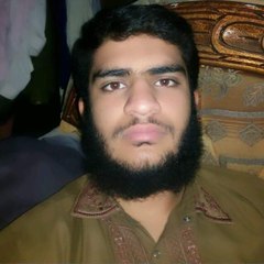 Muhammad Waseem