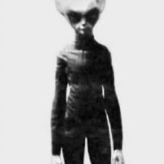 Dan Junkins