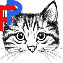 Pets Friendly