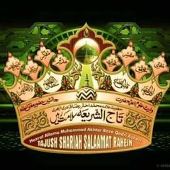 ansari md israil