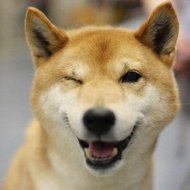 Pelosetti Esploratori