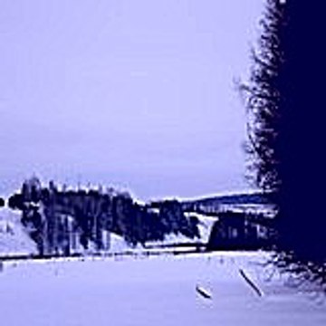 Xocece