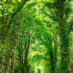 Love Nature