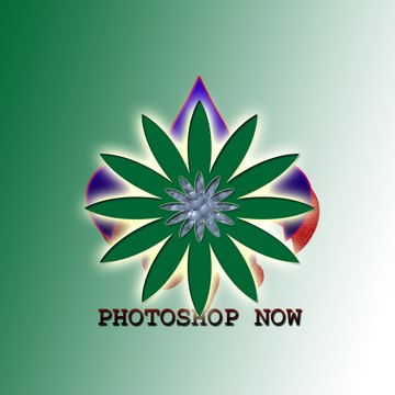 Photoshop Now