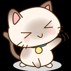 แมวเหมียว HD