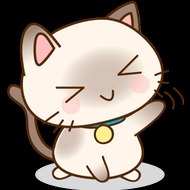 แมวเหมียว HD