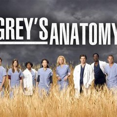 Greys Anatomy Season 14 ## OFFICIAL ABC