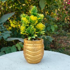 C crafts